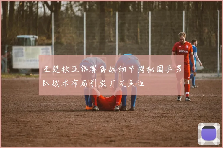 王楚钦亚锦赛备战细节揭秘国乒男队战术布局引发广泛关注