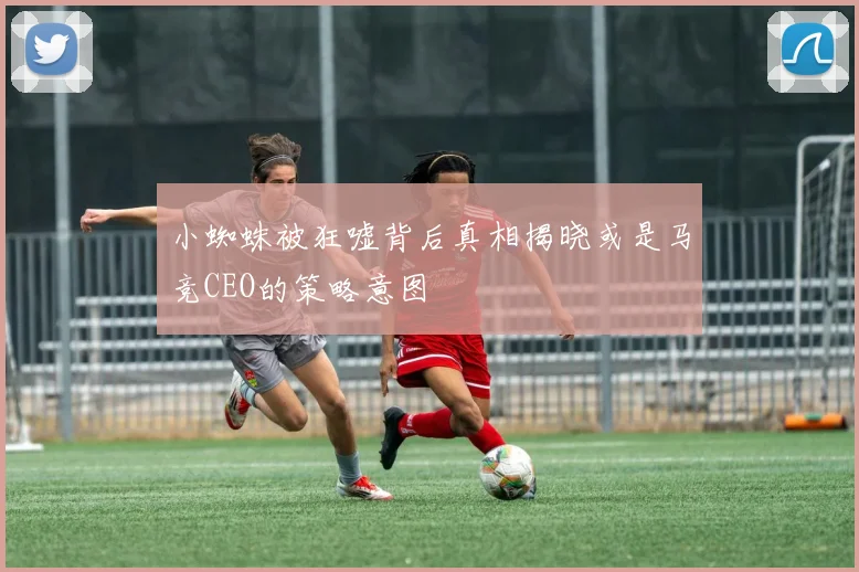 小蜘蛛被狂嘘背后真相揭晓或是马竞CEO的策略意图