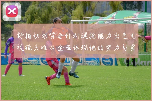 舒梅切尔赞舍什科逼抢能力出色电视镜头难以全面体现他的努力与贡献